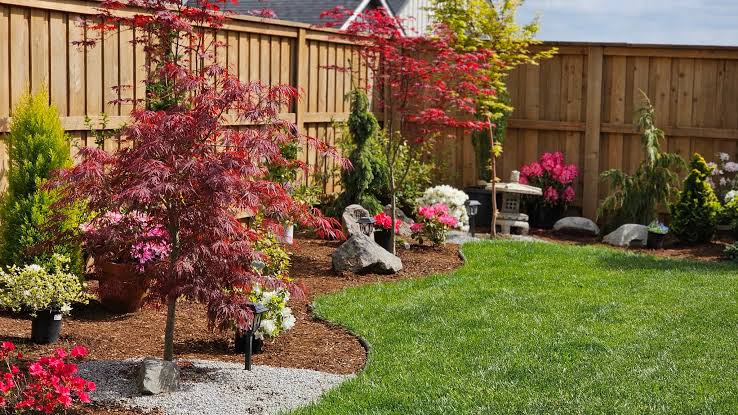 Backyard garden with Japanese maple trees and flowering plants